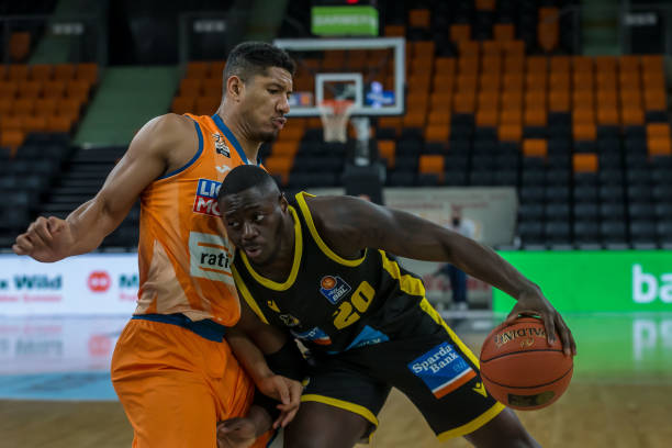 阿根廷新梅 阿根廷新梅