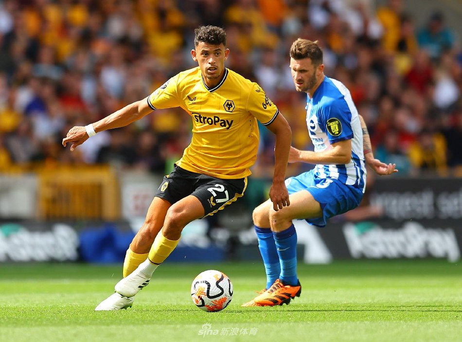 植物栖息地 植物栖息地